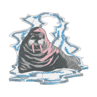 Short Beaked Common Dolphin Animals