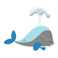 Short Beaked Common Dolphin Animals