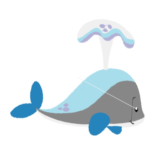 Short Beaked Common Dolphin Animals Short Beaked Common Dolphin Animals