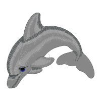 Short Beaked Common Dolphin Animals