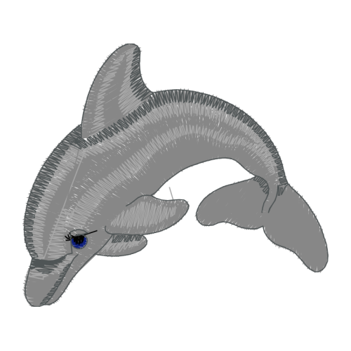 Short Beaked Common Dolphin Animals Short Beaked Common Dolphin Animals