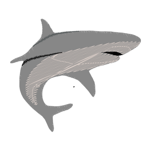 Short Beaked Common Dolphin Animals Short Beaked Common Dolphin Animals