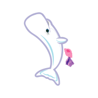 Short Beaked Common Dolphin Animals