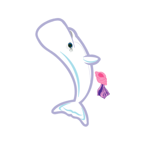 Short Beaked Common Dolphin Animals Short Beaked Common Dolphin Animals