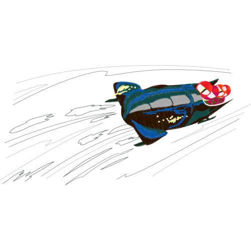 Short Beaked Common Dolphin Animals Short Beaked Common Dolphin Animals