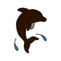 Short Beaked Common Dolphin Animals