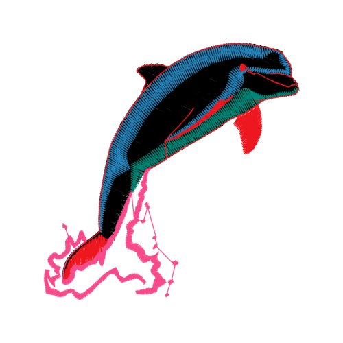 Short Beaked Common Dolphin Animals Short Beaked Common Dolphin Animals