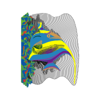 Short Beaked Common Dolphin Animals