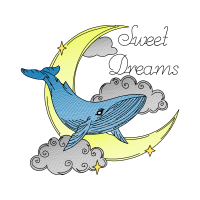 Short Beaked Common Dolphin Animals