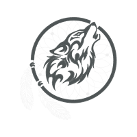 Short Beaked Common Dolphin Animals