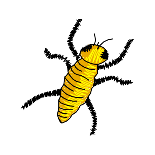 Silverfish Animals Silverfish Animals