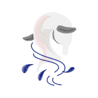 Sketch Animals Sketch Animals