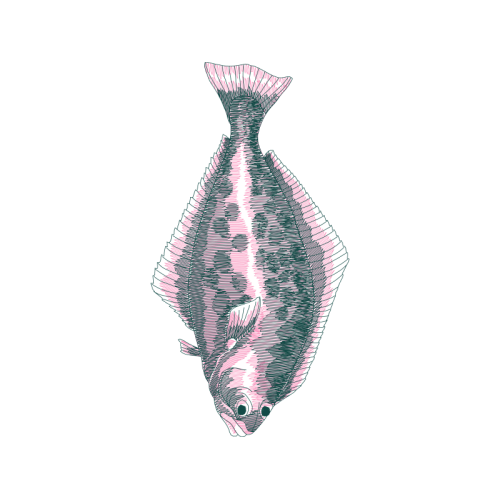 Sketch Animals Sketch Animals