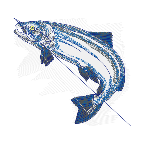 Sketch Animals Sketch Animals