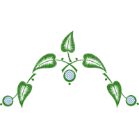 Smooth Solomon S Seal Animals Smooth Solomon S Seal Animals