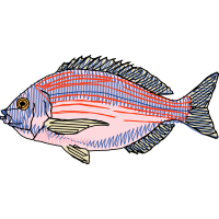 Snapper Animals Snapper Animals