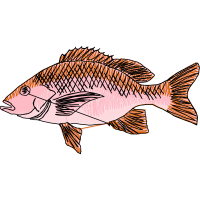 Snapper Animals Snapper Animals