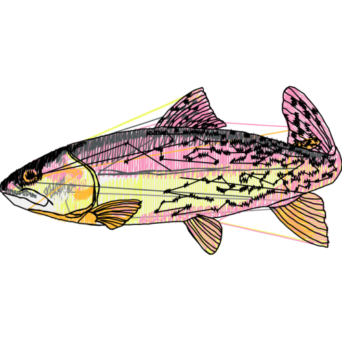 Snapper Animals Snapper Animals