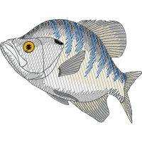 Snapper Animals Snapper Animals