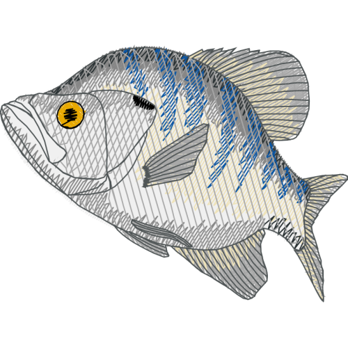 Snapper Animals Snapper Animals