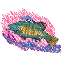 Snapper Animals Snapper Animals