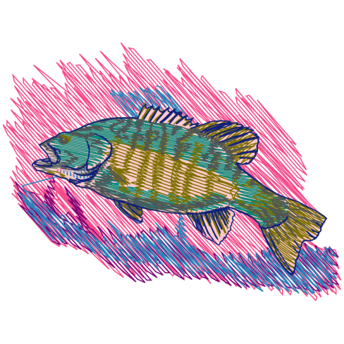 Snapper Animals Snapper Animals