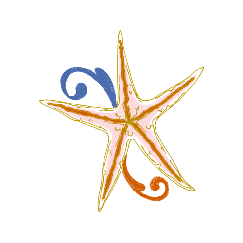 Starfish Animals Starfish Animals