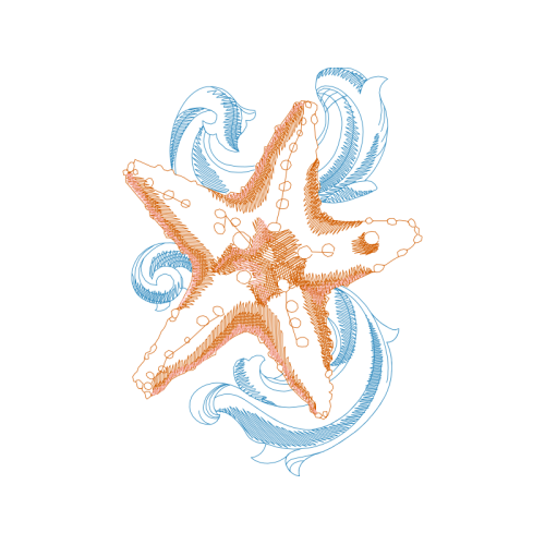 Starfish Animals Starfish Animals