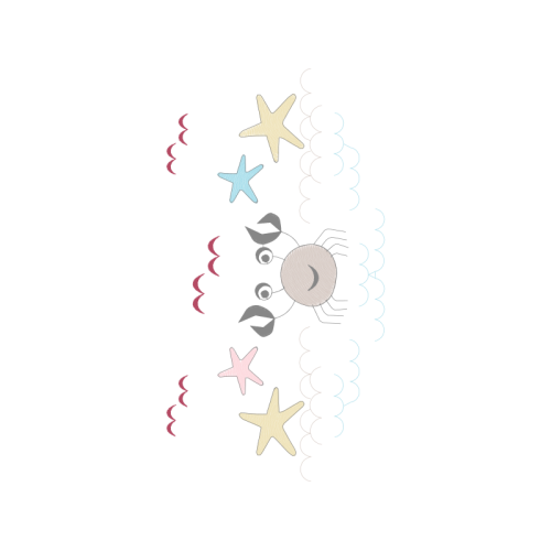 Starfish Animals Starfish Animals