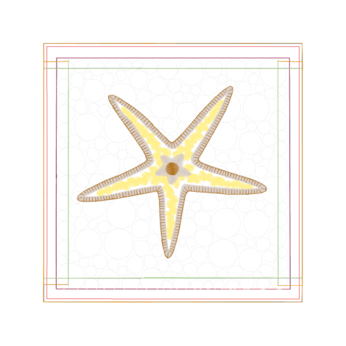 Starfish Animals Starfish Animals