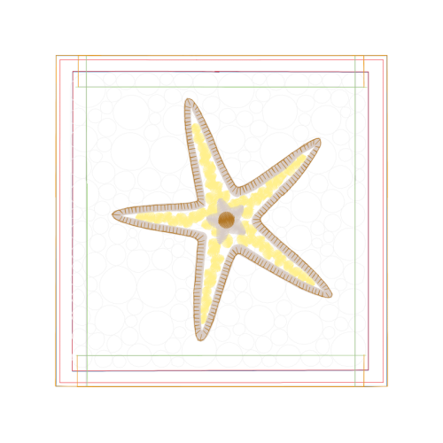 Starfish Animals Starfish Animals