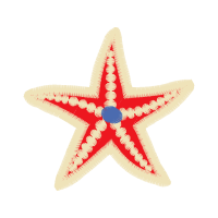 Starfish Animals