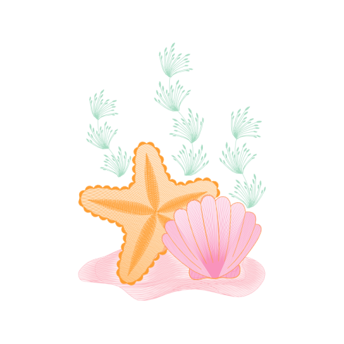 Starfish Animals Starfish Animals