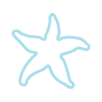Starfish Animals