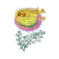 Striped Burrfish Animals