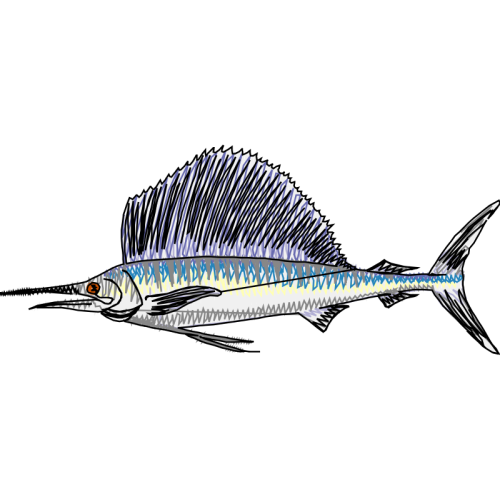 Swordfish Animals Swordfish Animals