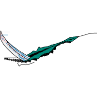 Swordfish Animals Swordfish Animals