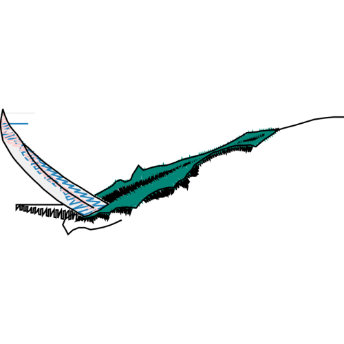 Swordfish Animals Swordfish Animals