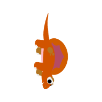 Symbol Animals Symbol Animals