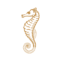 T Shirt Animals T Shirt Animals