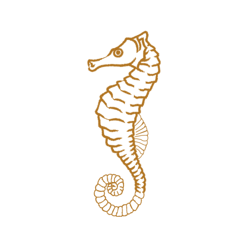 T Shirt Animals T Shirt Animals