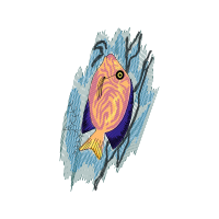 Tetraodontidae Animals Tetraodontidae Animals