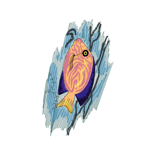 Tetraodontidae Animals Tetraodontidae Animals