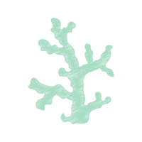 The Arts Animals The Arts Animals