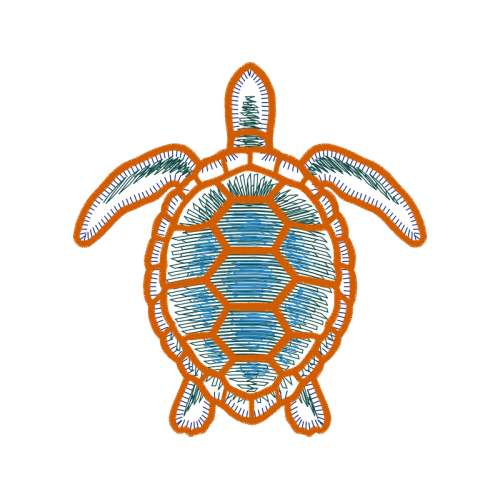 Turtles Animals Turtles Animals