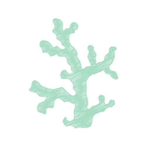 Visual Arts Animals Visual Arts Animals