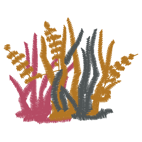 Visual Arts Animals Visual Arts Animals