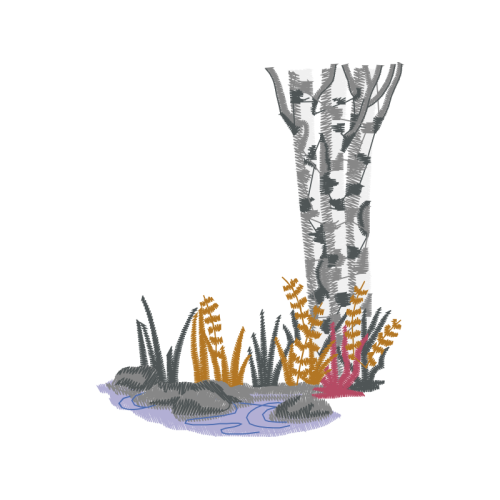 Visual Arts Animals Visual Arts Animals