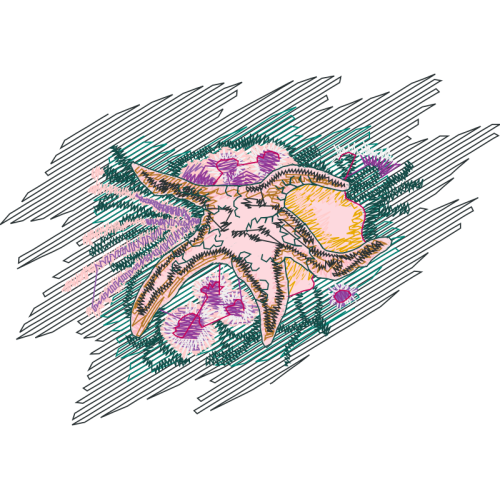 Visual Arts Animals Visual Arts Animals