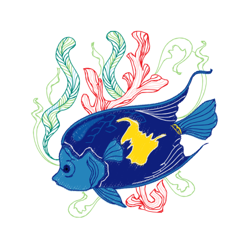 Visual Arts Animals Visual Arts Animals